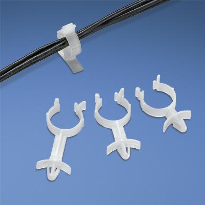 WS25-25-C