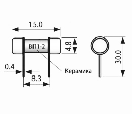 ВП1-2 0.25А (2021г)