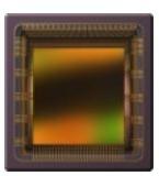 CMV4000-3E5M1PN