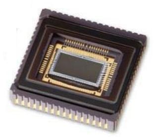 KAI-01150-FBA-FD-BA