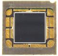 OPR5913