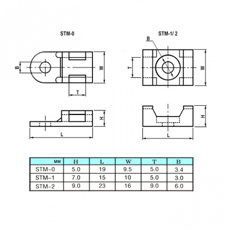 STM-2B